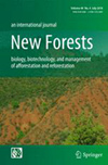 NEW FORESTS雜志封面